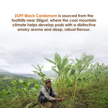 ZOFF Big Cardamom 5