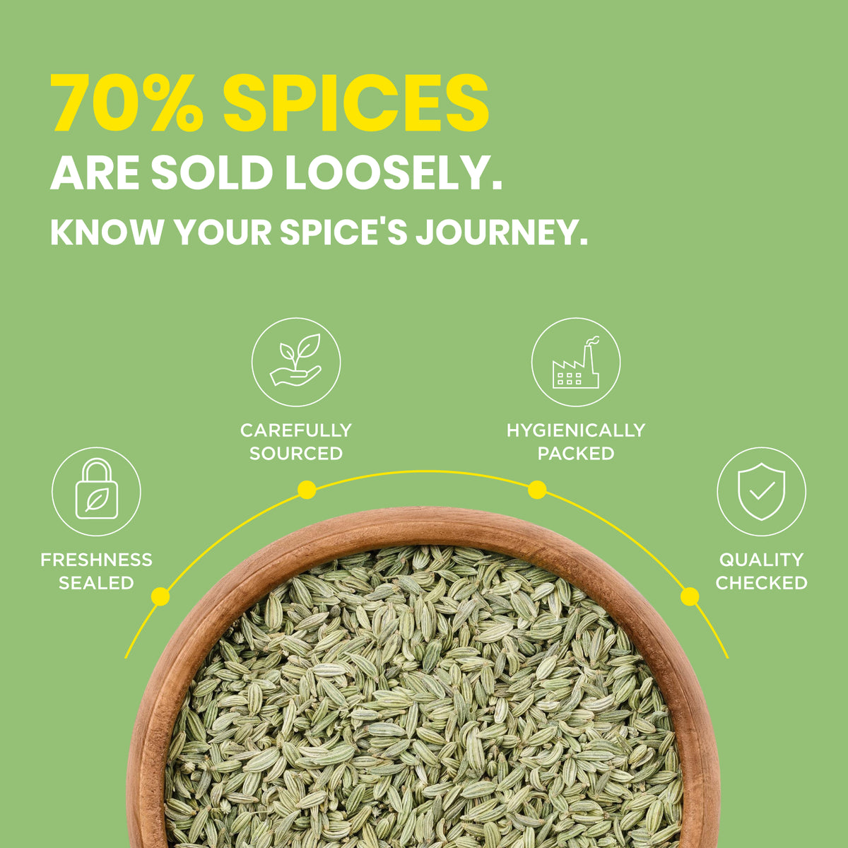 ZOFF Big Fennel Seeds 6