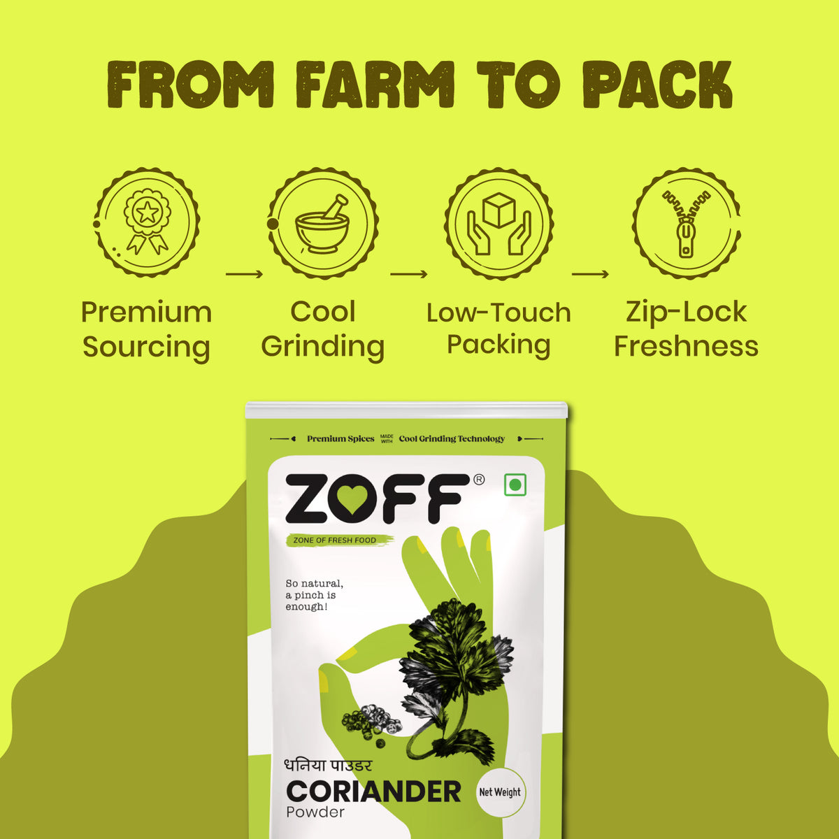 ZOFF Coriander Powder 6