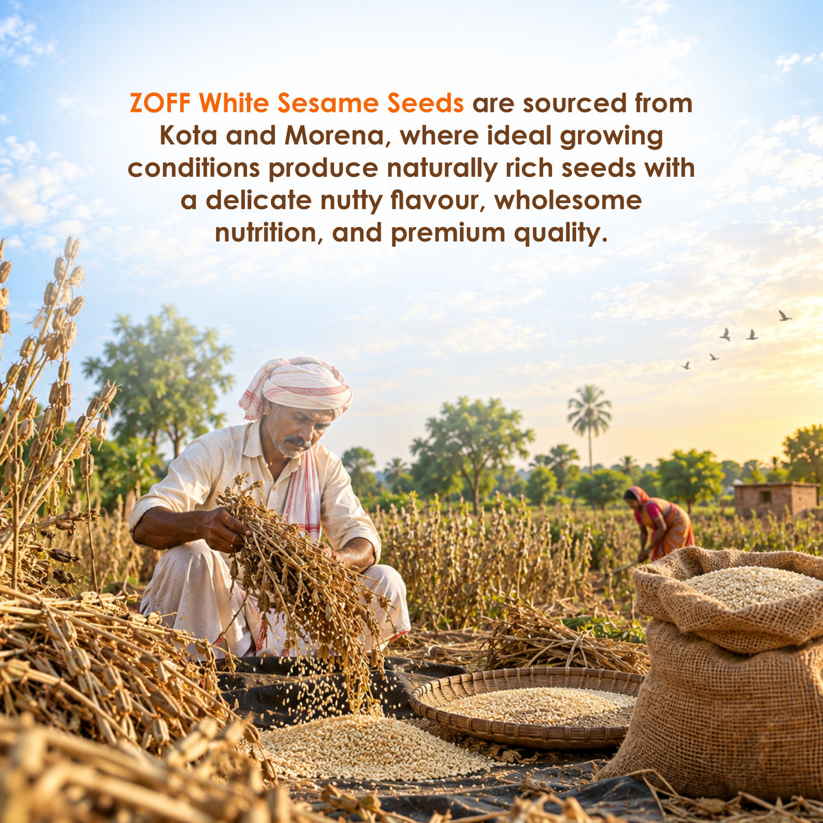 ZOFF White Sesame Seeds 6