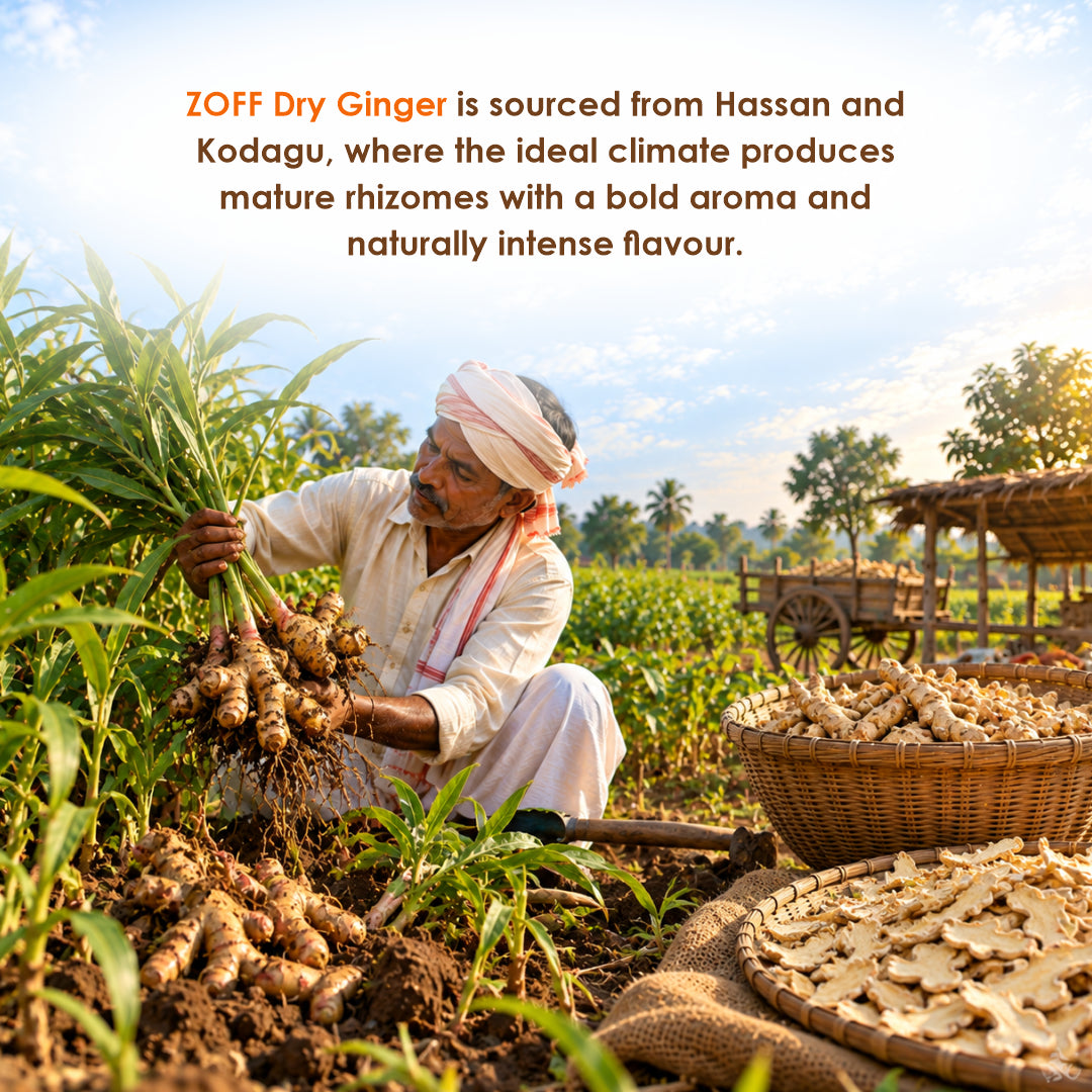 ZOFF Dry Ginger 7