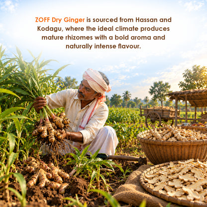 ZOFF Dry Ginger 7