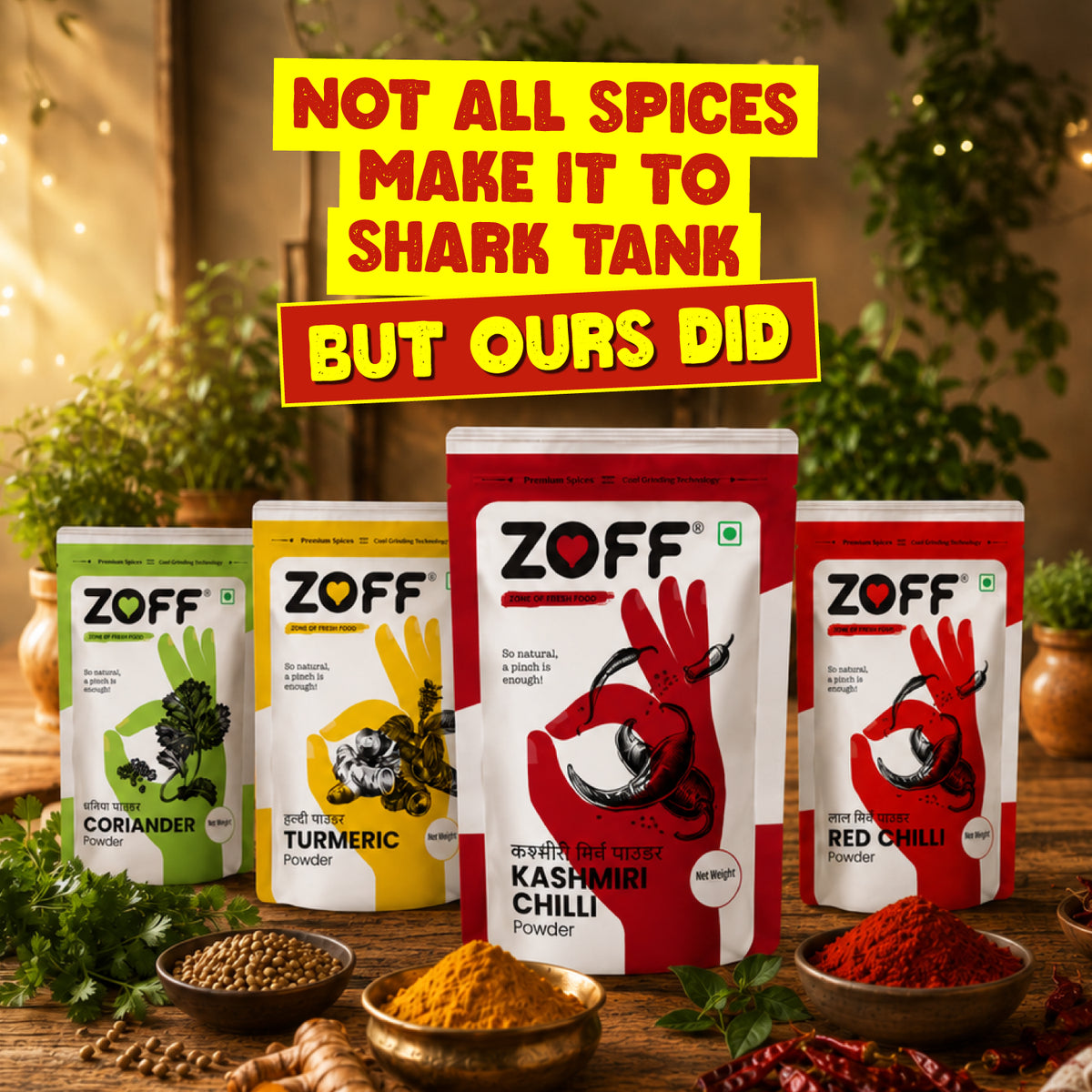 ZOFF Kashmiri Chilli Powder 10