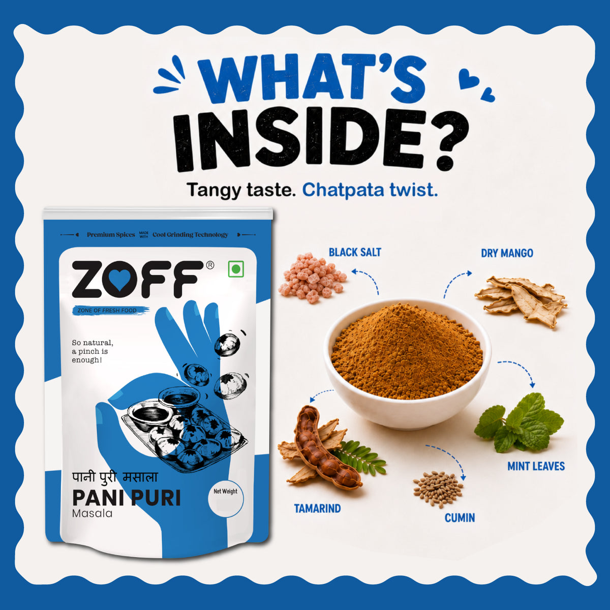 ZOFF Pani Puri Masala 15