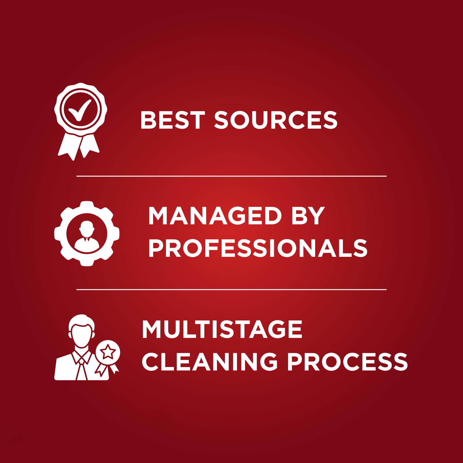 ready to cook tandoori chicken marinade mix