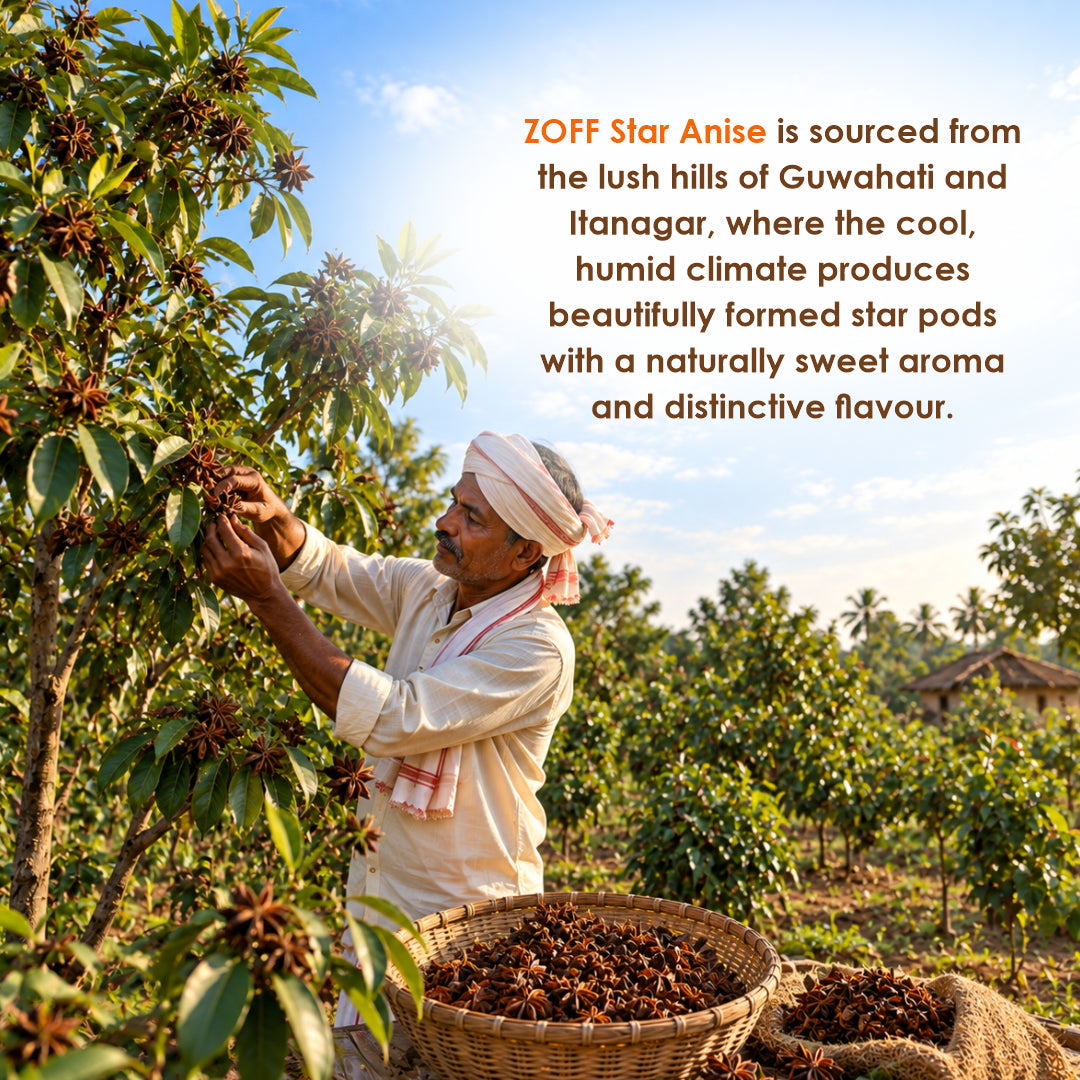 ZOFF Star Anise Whole 7