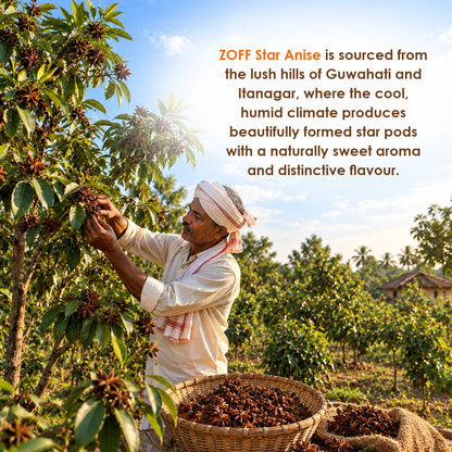 ZOFF Star Anise Whole 7